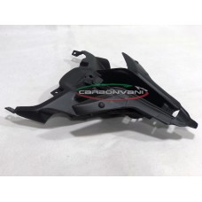 Carbonvani - Ducati Panigale / Streetfighter V4 / V2 / S / R / Speciale Carbon Fiber Bottom Tail (Tray)